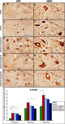 Neuroregeneration of injured peripheral nerve by fraction B of catfish epidermal secretions through the reversal of the apoptotic pathway and DNA damage